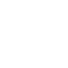 fast55-2024-white
