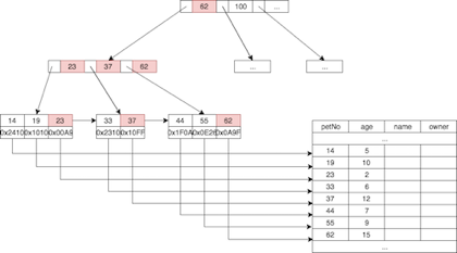 Database Index: Usage Of B+ Tree In The Practical Database System